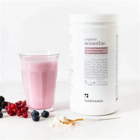 Yoghurt Smoothie 510g