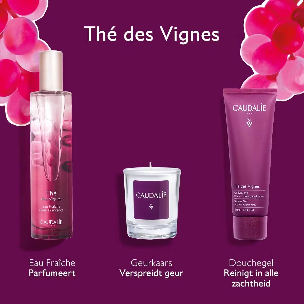 Thé des vignes giftset